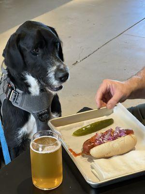 Enjoy a gourmet hotdog and a beer with your best friend.