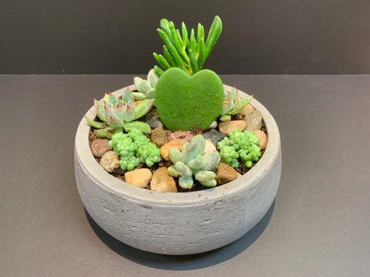 During the busy Valentine's Day weekend, one of the helpers, who's a teacher by day designed the following succulent plant. We think Stacey