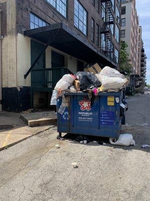 Overflowing trash bins