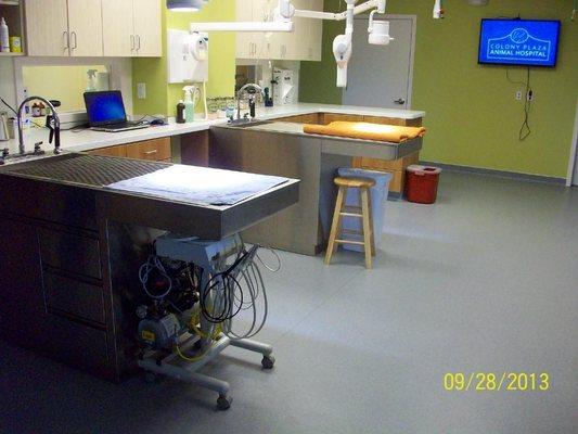 Treatment area or "the back". Where we perform dentals, draw blood, etc.