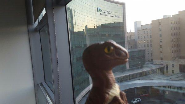 Bob the Raptor Says "The Mammals here take good care of you when you are sick."