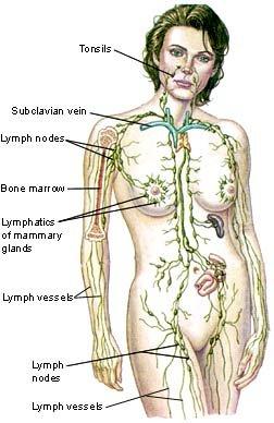 Lymphatic Drainage Therapy