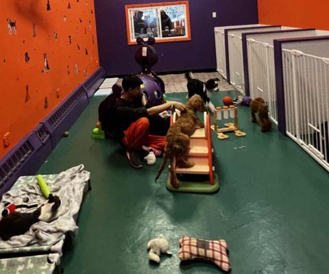 Doggy Daycare

Daycare: 8AM - 5PM
Half Day - $20.00
Full Day - $30.00
Hotel- $50/24h