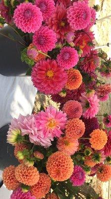 I was able to buy 3 bunches of flowers for $20 through Southernly Flower Farm at the market!