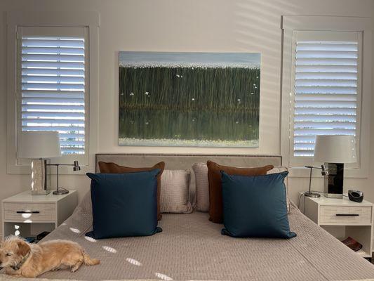 Hunter Douglas New Style Shutters!