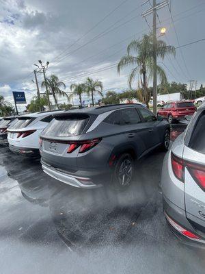 Cars in the lot