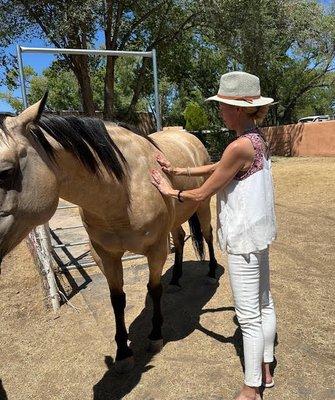 Animal Japanese Reiki available on all types of animals/reptiles.