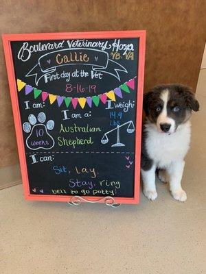 My sweet baby at her first visit! This was a nice touch!