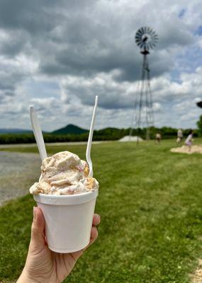 2 scoops: brownie batter + strawberry cheesecake