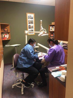 Dr. Ospina has been practicing in the desert for over 20 years