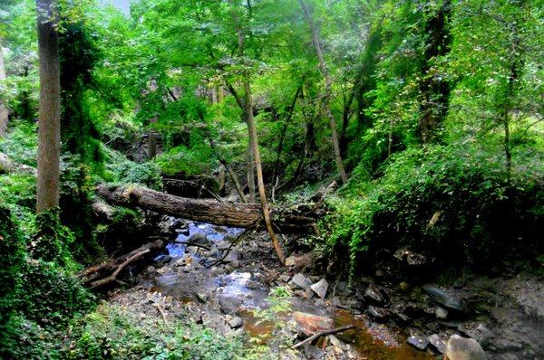 View of Sawmill Run flowing down to the Schuylkill River