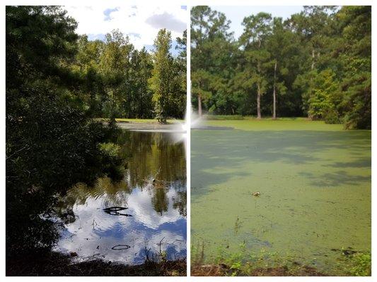 Louisiana Pond Management