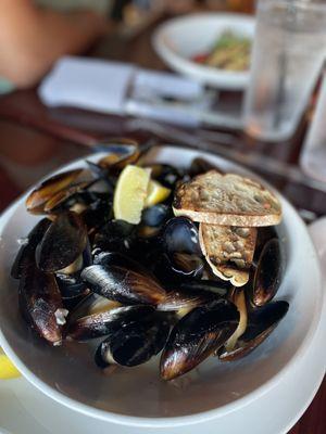 Mussels