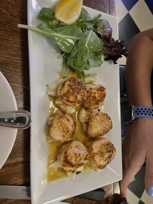 Scallops