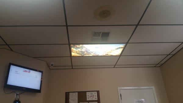 Some unique ceiling tiles.