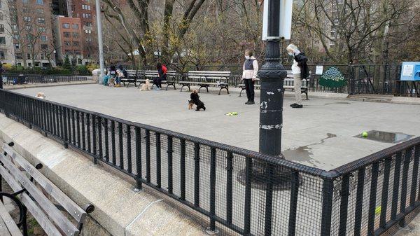 Carl Schurz Dog Run