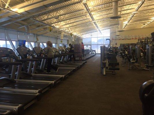 Jackson YMCA workout area - treadmills and cardio!