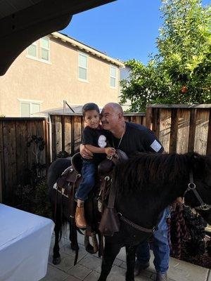 Pony rides in Gilroy!