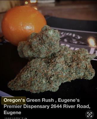 Oregon's Green Rush