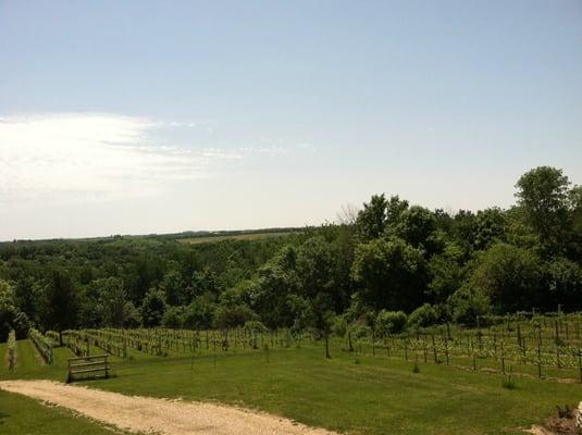 Garvin Heights Vineyards, LLC