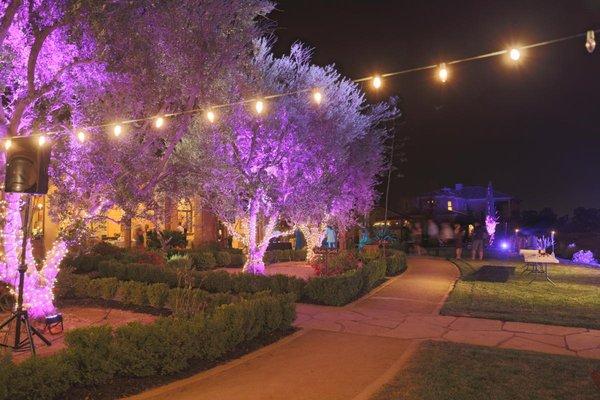 Weddings & Events Lighting Rentals