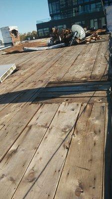 Roof Repars