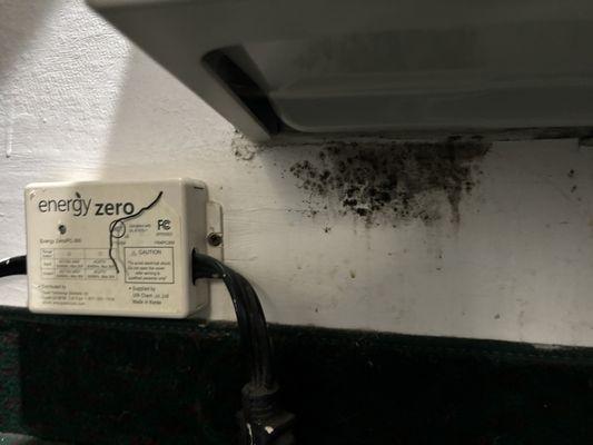 Black mold in my room under AC