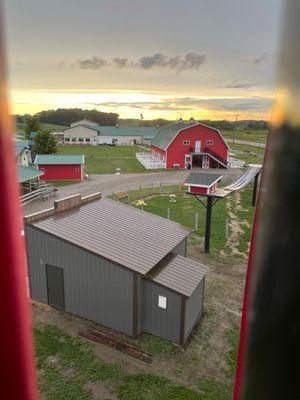 Barn and goats.