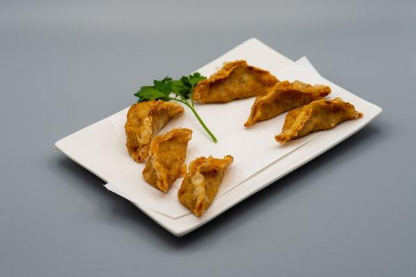 Yaki Gyoza/Fried Chicken Dumplings