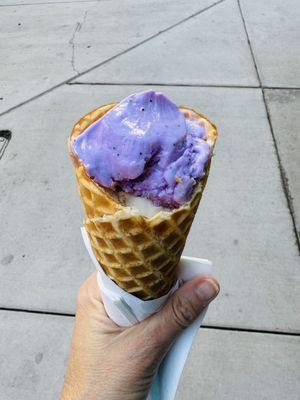 Lavendar poppy and vanilla bean in their homemade waffle cone !!