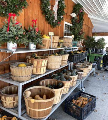 Squashes, wreaths