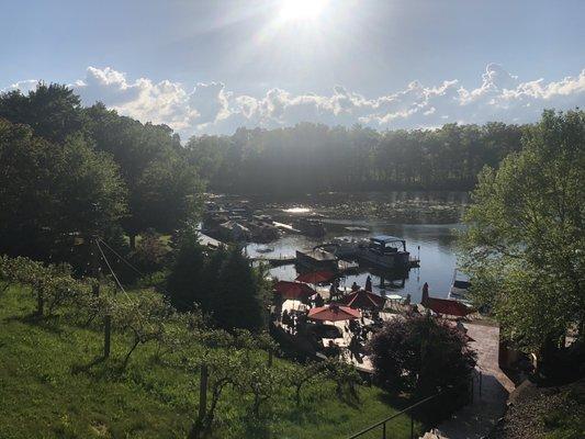 View from their patio