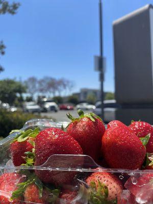 Fresh strawberries eaten for breakfast outside Aldi before going to another store for more groceries! Very tasty!