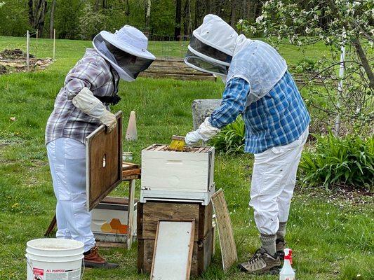 High school guided independent study courses include Intro to Culinary Arts, Early Childhood Education, or Sustainable Agriculture.