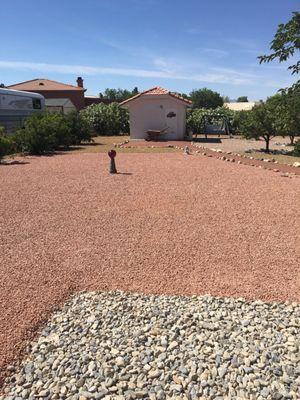 Got our rocks from Star Nursery, it looks great!