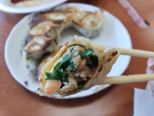 Shrimp, pork and leek dumplings