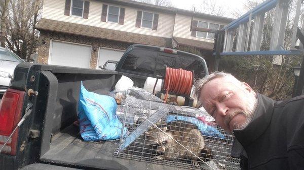 Selfie with Raccoon