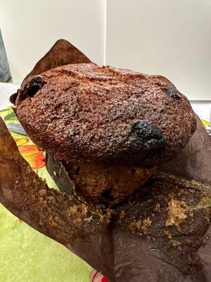 Blueberry muffin, although it looks as dark as a bran muffin.