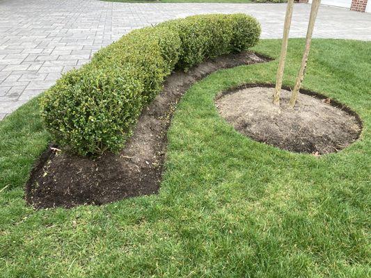 Bed edging & hedge pruning.