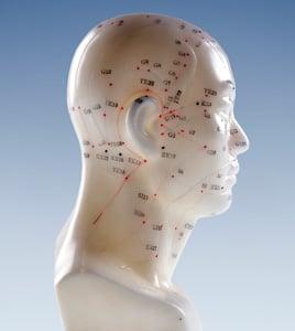 Acupuncture meridians of the scalp and face.