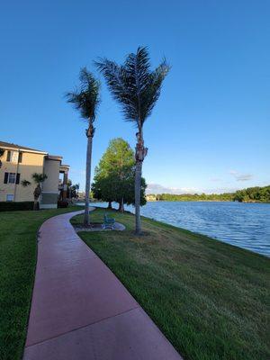 Sidewalk around beautiful lake