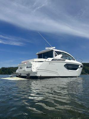 Cruiser Cantius 42