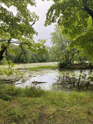 Brunet Island State Park