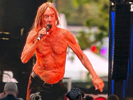 Iggy Pop