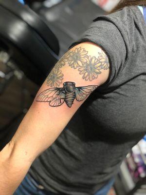 Cicada tattoo