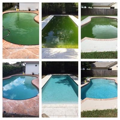 Clean Pools