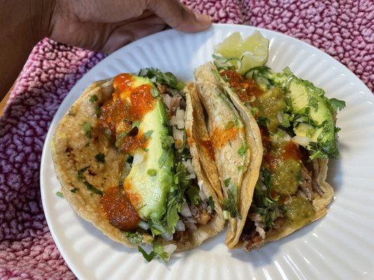 Carnitas Taco w/ Avocado & Salsa