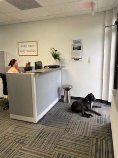 Welcome Reception Area - Tampa's Best Insurance Agency