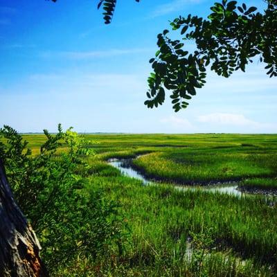 Marsh overlook