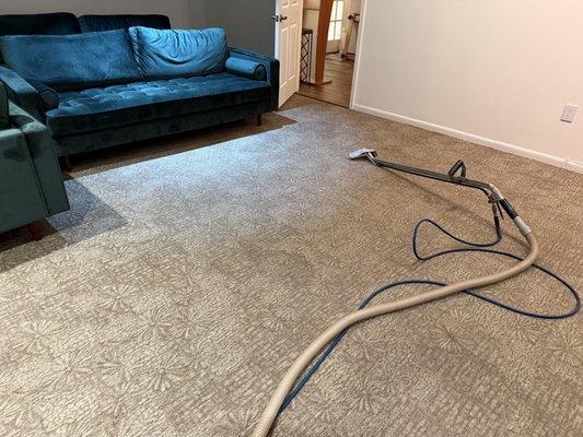 Cleaning this carpet